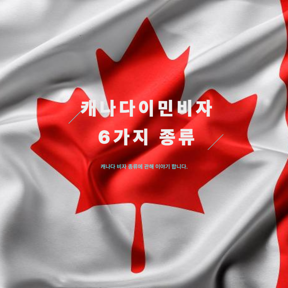 캐나다 이민비자 임시비자 종류