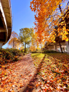 Canada scenery