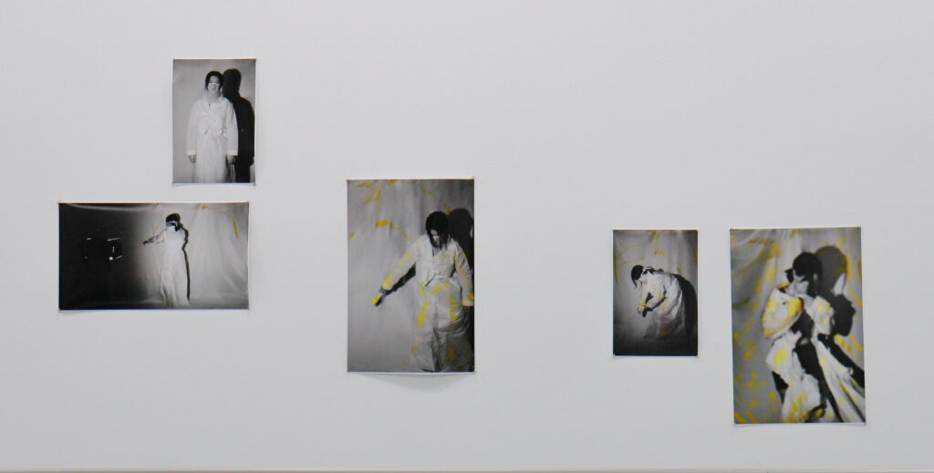 "Disobedience (2024)" Performance Art 6 Emily Carr, Artwork, Art