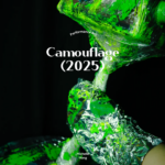 art, performance art, camouflage