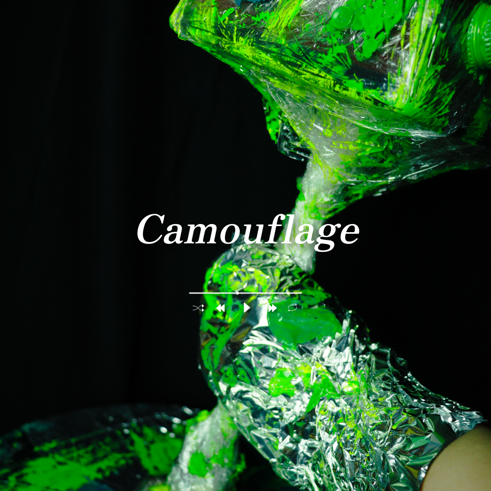 art, performance art, camouflage, 변장, 퍼포먼스아트, 사진, 미술, 미술작품, 실험적아트