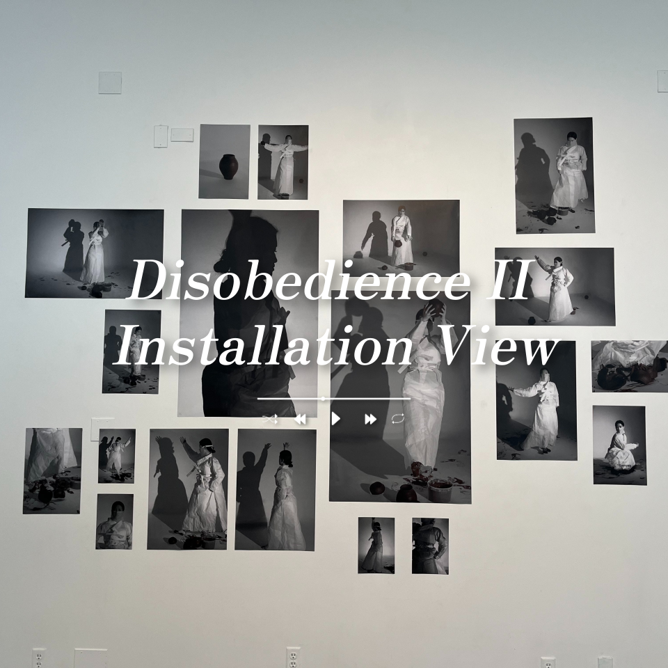 disobedience, performanceart, art, installation, 미술, 퍼포먼스아트, 사진, 작품, 아트