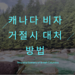 캐나다 서류 공증방법-아포스티유 인터넷 발급 방법 Apostille 11 캐나다 비자 거절, 캐나다 비자, 거절시 대처방법, 대처방법